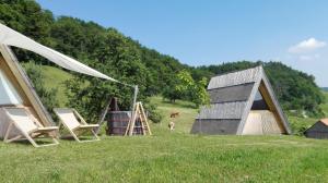 扎雷克Glamping - Ekološka kmetija Kozman的一群帐篷和一只狗在田野里