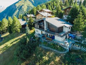 RosswaldChalet Panorama的享有山景的房屋的空中景致