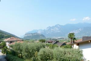 阿科B&B agli Ulivi的享有以山脉为背景的小镇美景。