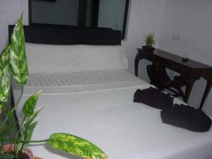 Paka北加INN酒店的一间卧室配有两张床和一张植物书桌