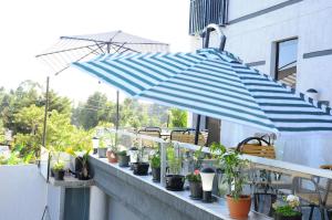 亚的斯亚贝巴北阿迪斯酒店的阳台上的蓝白雨伞,种植了盆栽植物