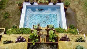 科布列季Marshal Resort Kobuleti的享有种植了植物的游泳池的顶部景致