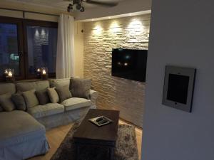 特里尔Appartement St. Barbara的客厅配有沙发和砖墙电视