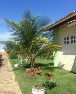 巴拉杜斯科凯鲁斯CHALÉS ENCANTOS DA ILHA的房子旁的院子中的棕榈树