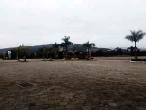 LontrasHotel Colibris的一个棕榈树环绕的大型停车场