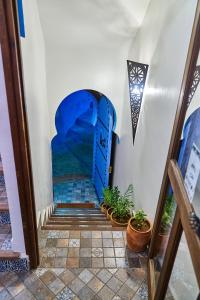 舍夫沙万达雅库摩洛哥传统庭院住宅的相册照片