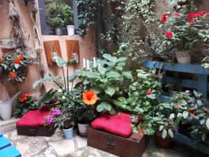 罗维尼Casa 39 Apartments的盆子里的一束花和植物