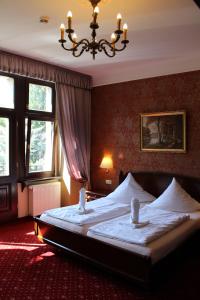塔勒斯特克兰伯格城堡酒店的一间卧室配有一张带吊灯的大床