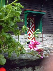 库多瓦-兹德鲁伊Dom Pod Ptasznicą的一座带绿门和粉红色花朵的房子
