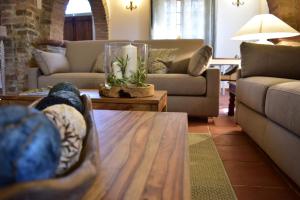 巴尔贝里诺瓦尔德尔萨Villa San Michele的带沙发和咖啡桌的客厅