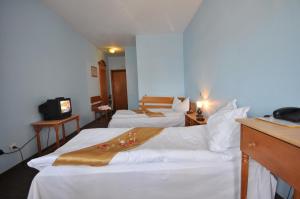 康斯坦察多布罗吉酒店的酒店客房设有两张床和电视。