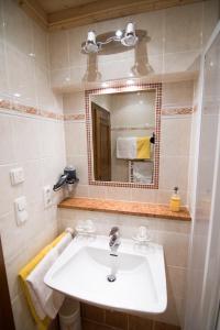 基茨比厄尔Hof Hamoos的一间带水槽和镜子的浴室
