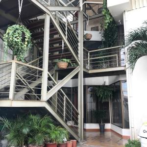 San AntonioOro Apart Hotel的一座种植了盆栽植物的建筑中的螺旋楼梯
