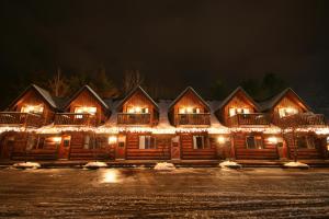 WoodsvilleNootka Lodge的小木屋配有圣诞灯