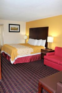 法兰克福蓝草旅馆的酒店客房,配有一张床和一张红色的沙发