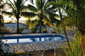拉戈莱特玛丽莎公寓 的度假村内棕榈树游泳池