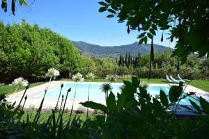 卡尔奇阿尔帕拉萨其奥农家乐的树木繁茂的庭院中的一个游泳池
