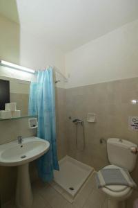 伊利索斯Ialysos City Hotel的一间带水槽、卫生间和淋浴的浴室