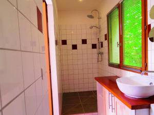 Blésignac旦斯蕾斯宝斯一室公寓的一间带水槽和淋浴及窗户的浴室