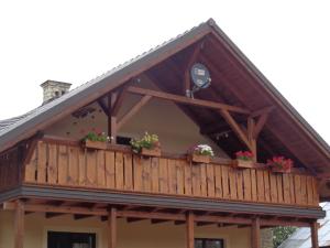 SusiecHacjenda的木房子,设有种植了盆栽植物的阳台