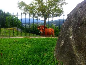 阿尔库什迪瓦尔德维什Quinta da Toural的田野围栏后面的牛
