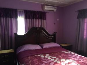 NatrinaMontgomery Brother Estate的一间卧室配有一张紫色墙壁和窗户的床