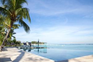 弗利康弗拉克2卡农旅馆的一座棕榈树和海洋游泳池