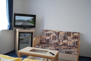 比克夫尼克斯酒店的带沙发和平面电视的客厅