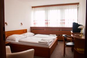 米哈洛夫采德鲁兹巴酒店的一间卧室配有一张床、一张书桌和一个窗户。