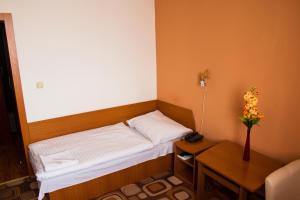 米哈洛夫采德鲁兹巴酒店的小房间设有一张床和一张桌子