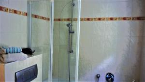 艾森纳赫Villa Terracotta的浴室里设有玻璃门淋浴