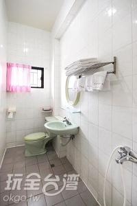 番路乡仁义潭温馨民宿 的浴室配有绿色卫生间和水槽。