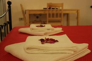 Novaki MotovunskiGuesthouse Casetta Verde的红色桌子,上面有白色毛巾
