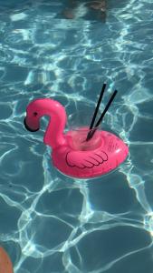 博尔塞纳苏拉格湖滨假日酒店的游泳池里漂浮着粉红色的火烈鸟