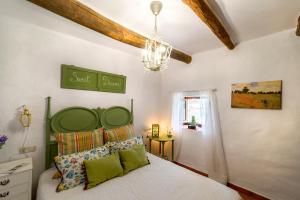 卡皮雷拉Casa La Fragua的一间卧室配有一张带绿色床头板和吊灯的床。