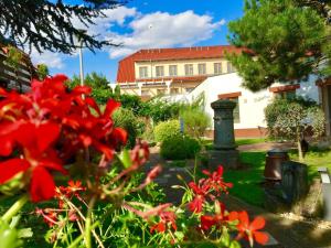 布热茨拉夫希尔尼斯酒店的一座花园,在一座建筑前种有红色花卉
