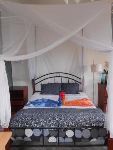 Rodrigues Island阿弗尔公寓的一间卧室配有一张带天蓬的床