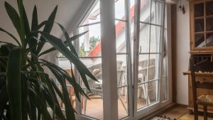 汉诺威Private Apartment & Hannover City Altstadt的植物间的一个窗户