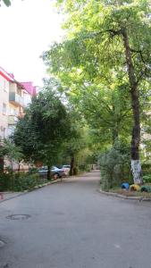 热列兹诺沃德斯克Apartment on Lenina的相册照片