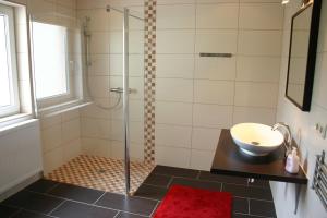 塞布尼茨Ferienhaus Sonneneck的带淋浴和盥洗盆的浴室
