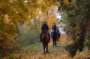 Spišský ŠtiavnikRanch pod lesom Slovensky Raj的一群骑马的人沿着小径骑着