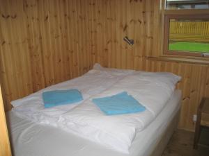 Vestri Pétursey韦斯特皮埃特西度假屋的一张带两个蓝色枕头的白色床