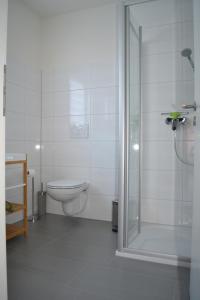 巴德塞尔佐根Walnusshof Bad Salzungen的一间带卫生间和玻璃淋浴间的浴室
