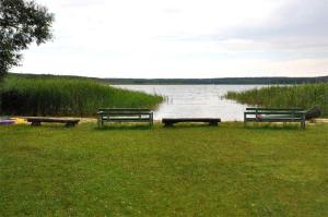 韦森贝格Ferienhaus Klein Quassow SEE 8771的坐在湖边草地上的三张长椅