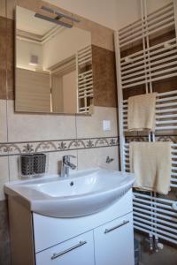 布雷日采Farm Stay Zevnik的浴室设有白色水槽和镜子