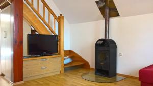 新梅斯托Vineyard Cottage Lustek的客厅配有燃木炉和电视