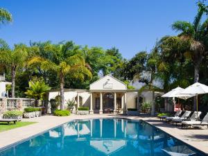 开普敦Ibis House的棕榈树屋前的游泳池