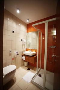 Naklo马琳酒店的浴室配有卫生间、盥洗盆和淋浴。