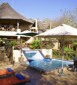 玛洛斯帕克鳄鱼克鲁格野生动物园住宿酒店的一个带遮阳伞的游泳池的度假酒店