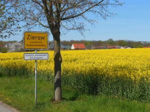 齐罗Schwedenrotes Ferienhaus Wismar的油菜籽田前的黄色标志